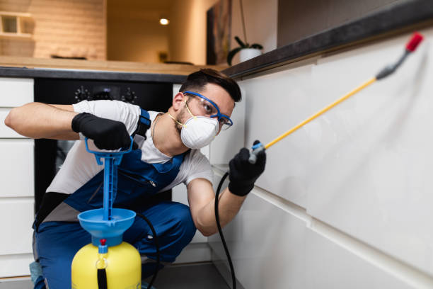 Best Mosquito Control Services  in Hamilton City, CA