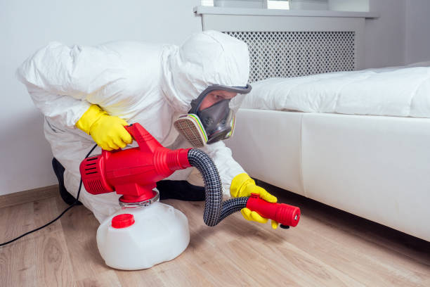 Best Best Pest Control Companies  in Hamilton City, CA