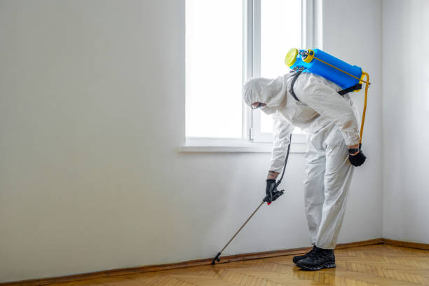 Best Pest Prevention Services  in Hamilton City, CA