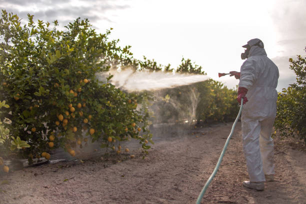 Best Commercial Pest Control Services  in Hamilton City, CA