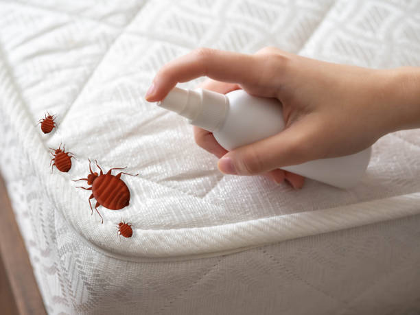 Best Pest Removal Services  in Hamilton City, CA