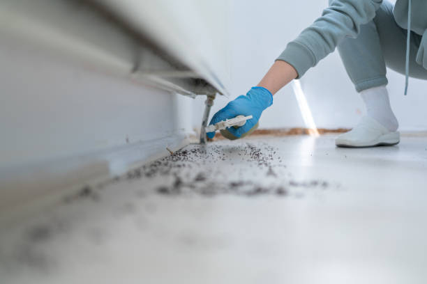 Wildlife Control Services in Hamilton City, CA