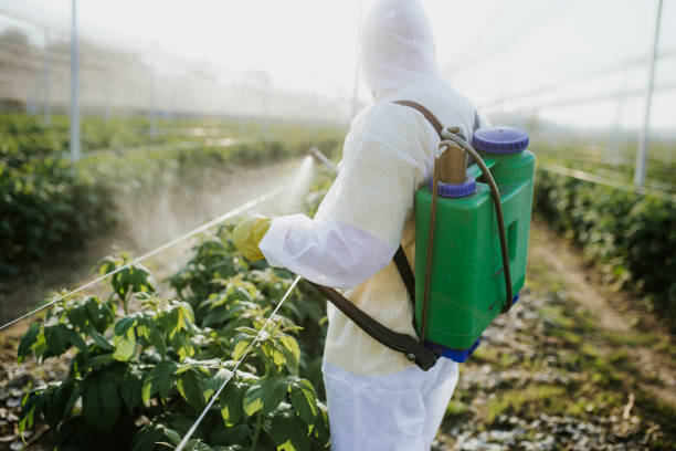 Best Pest Inspection Near Me  in Hamilton City, CA